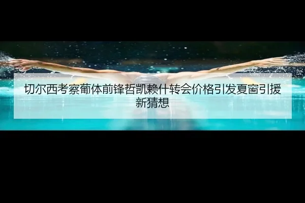 切尔西考察葡体前锋哲凯赖什转会价格引发夏窗引援新猜想